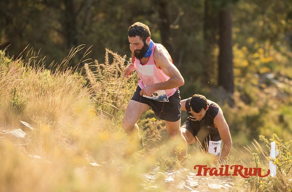 Galería de fotos - Camovi 2017