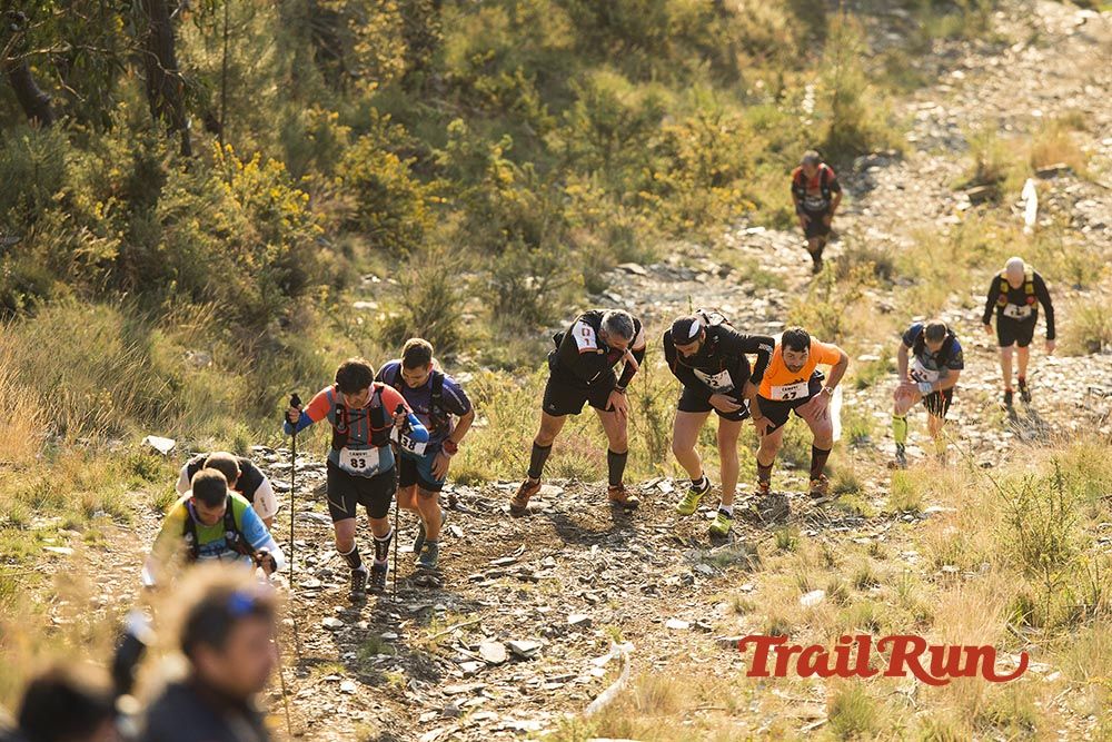 Galería de fotos - Camovi 2017