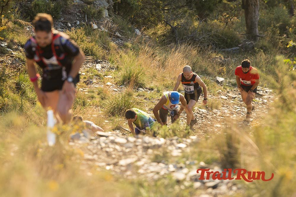 Galería de fotos - Camovi 2017
