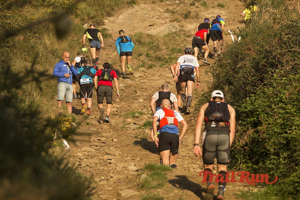 Galería de fotos - Camovi 2017