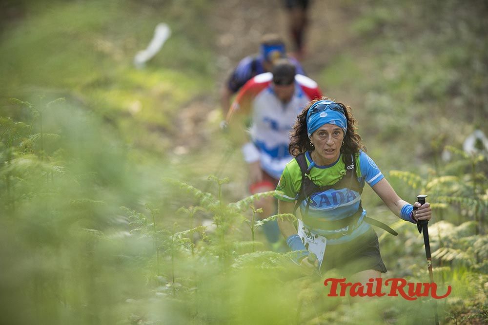 Galería de fotos - Camovi 2017