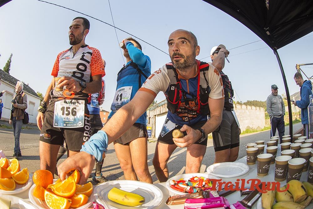 Galería de fotos - Camovi 2017