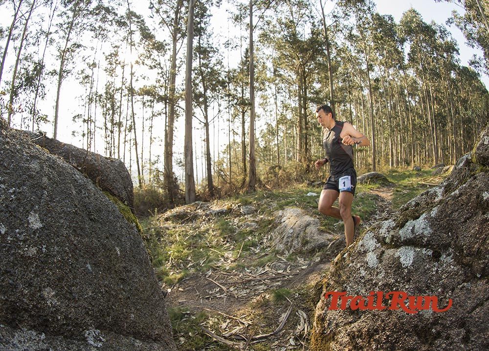 Galería de fotos - Camovi 2017