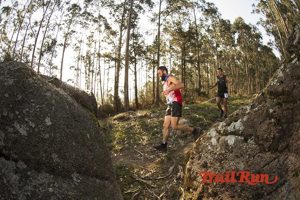 Galería de fotos - Camovi 2017