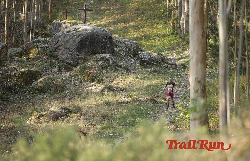 Galería de fotos - Camovi 2017