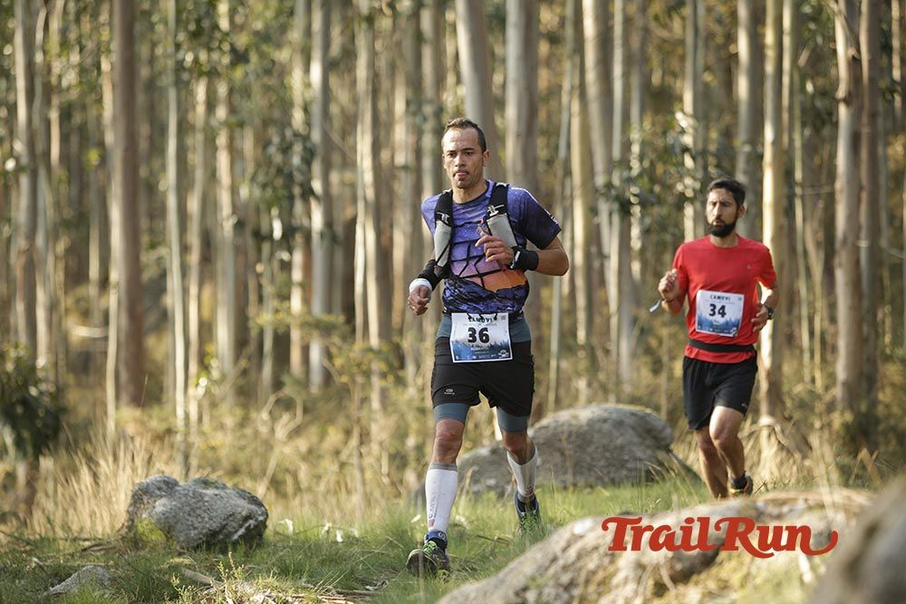 Galería de fotos - Camovi 2017