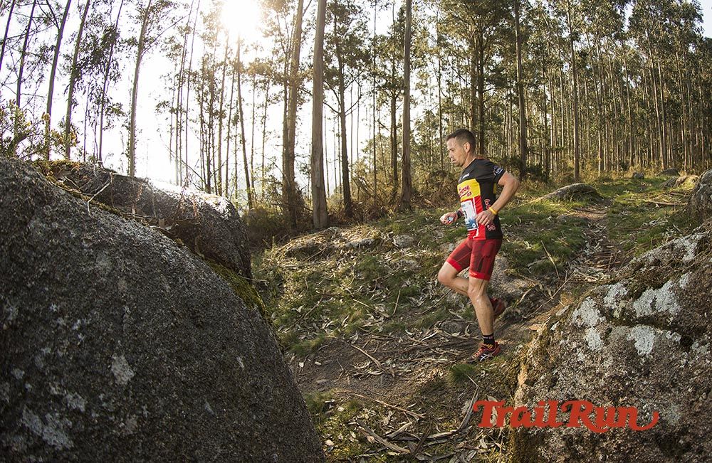Galería de fotos - Camovi 2017