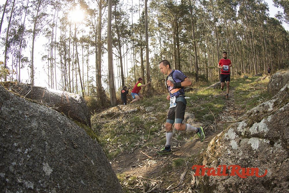 Galería de fotos - Camovi 2017