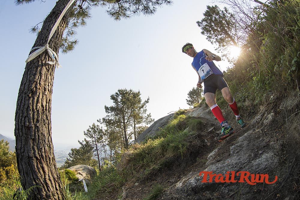Galería de fotos - Camovi 2017