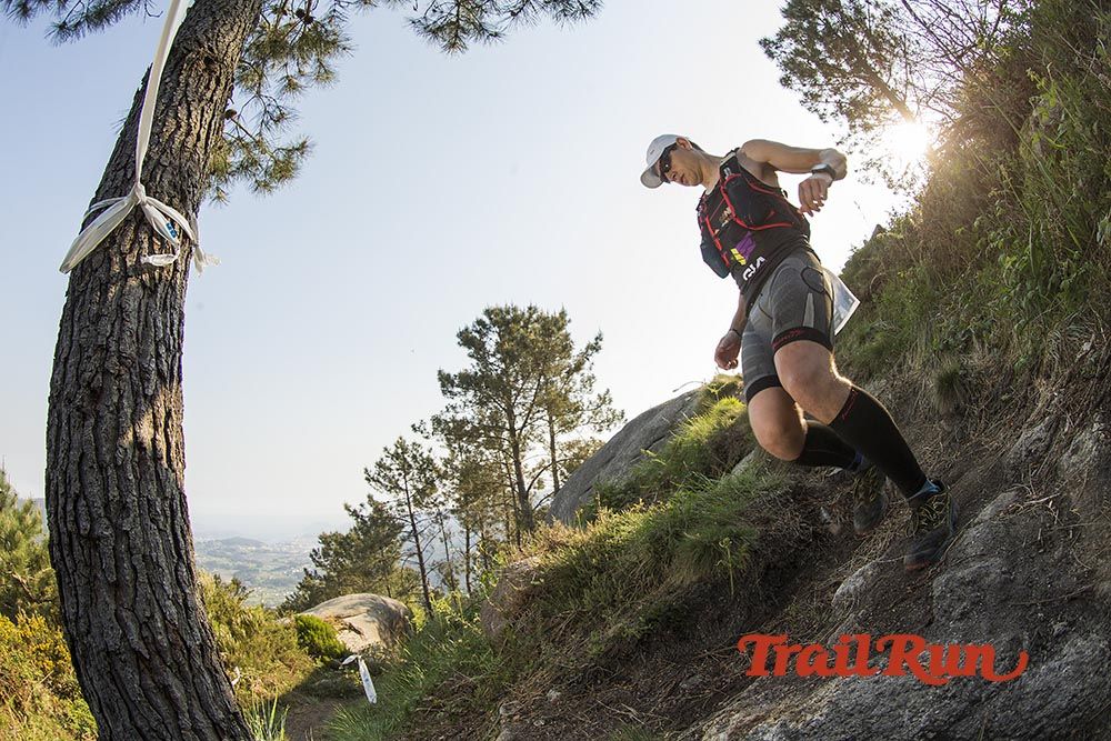 Galería de fotos - Camovi 2017