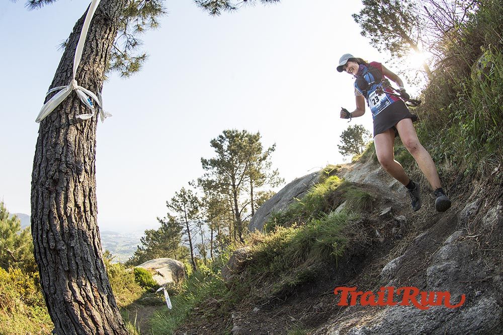 Galería de fotos - Camovi 2017