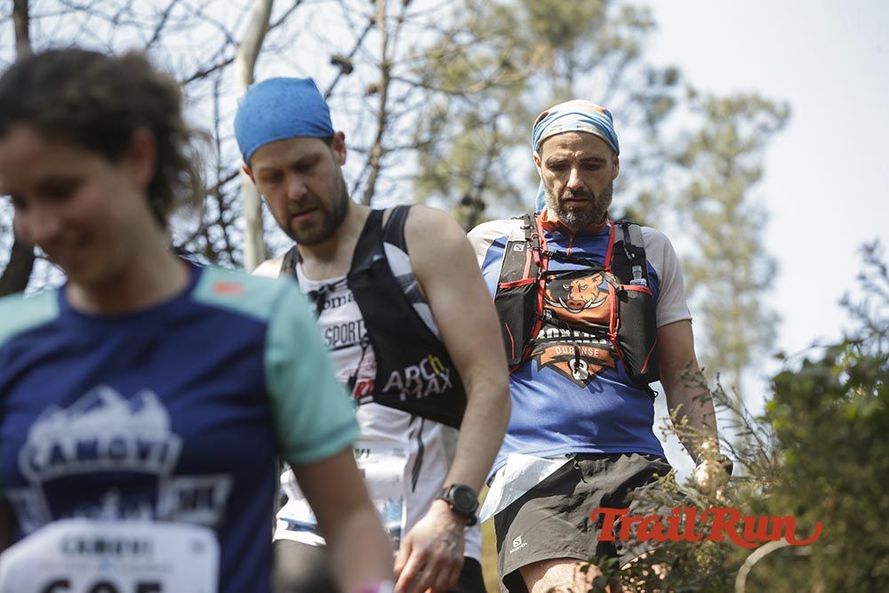 Galería de fotos - Camovi 2017