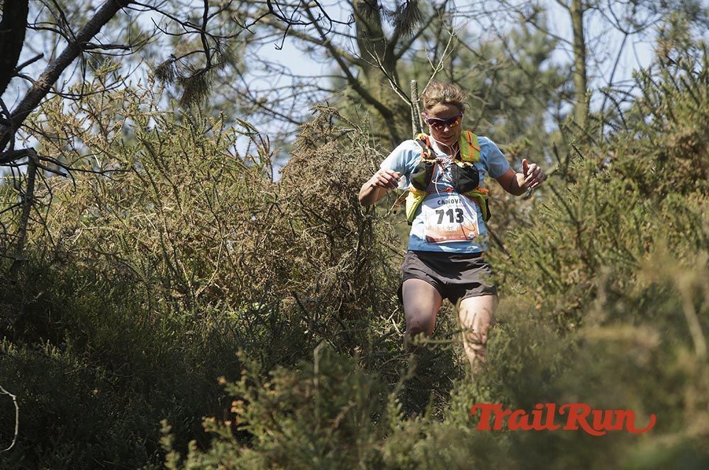 Galería de fotos - Camovi 2017