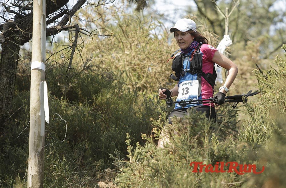 Galería de fotos - Camovi 2017
