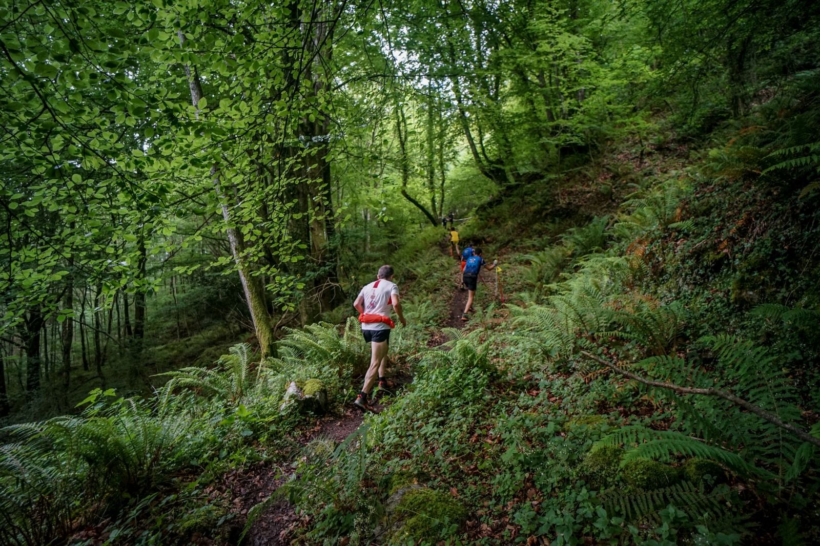Zegama-Aizkorri Kilómetro Vertical 2022 ©JCD Fotografia