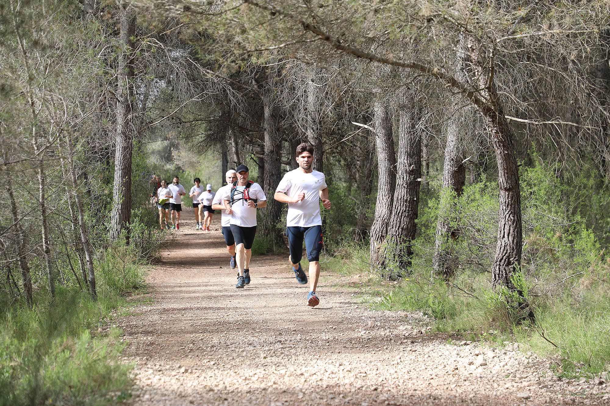 EcoTrail Valencia