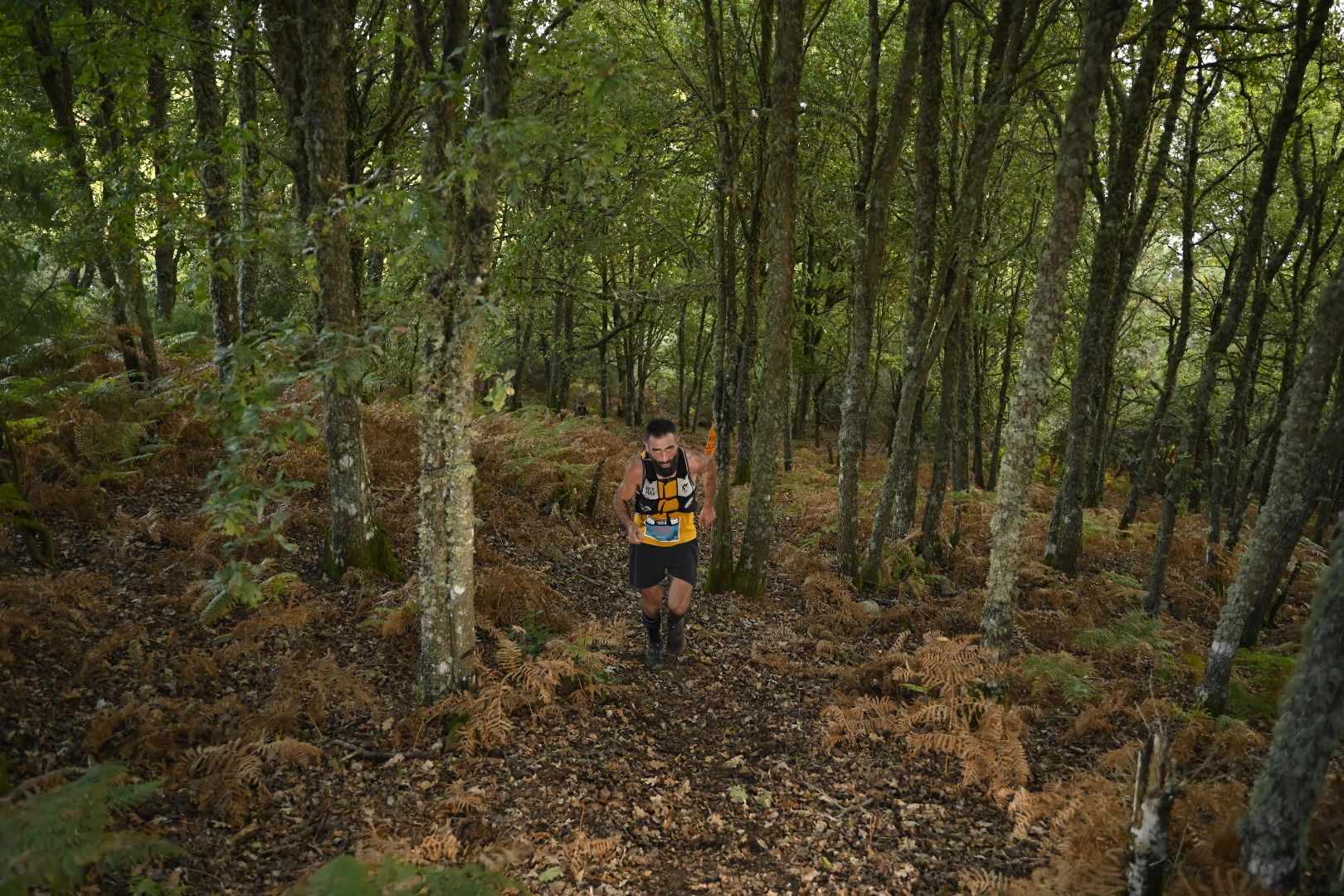 Fernando Arca ©Trail Ribeira Sacra by @galician_exp