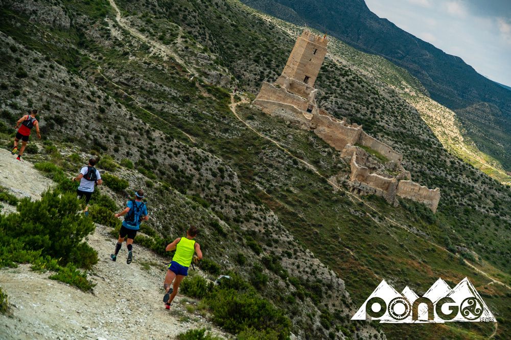Pongo Race Zaragoza 2018 (galería 01)