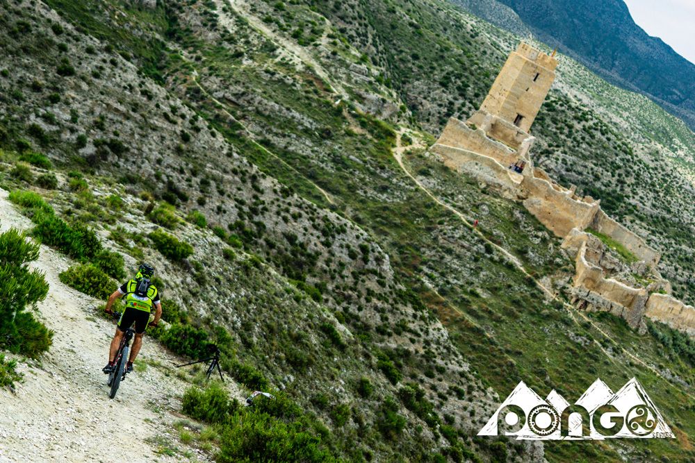 Pongo Race Zaragoza 2018 (galería 01)