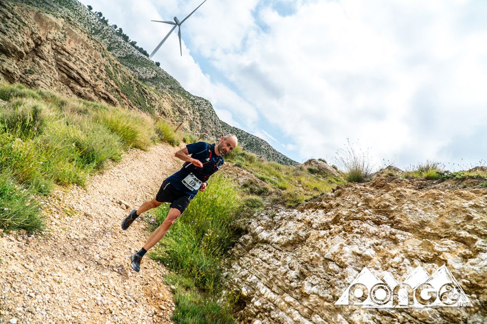 Pongo Race Zaragoza 2018 (galería 01)