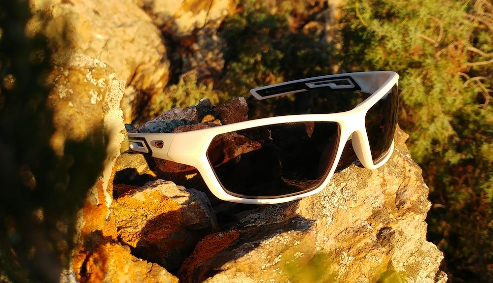 gafas GOG