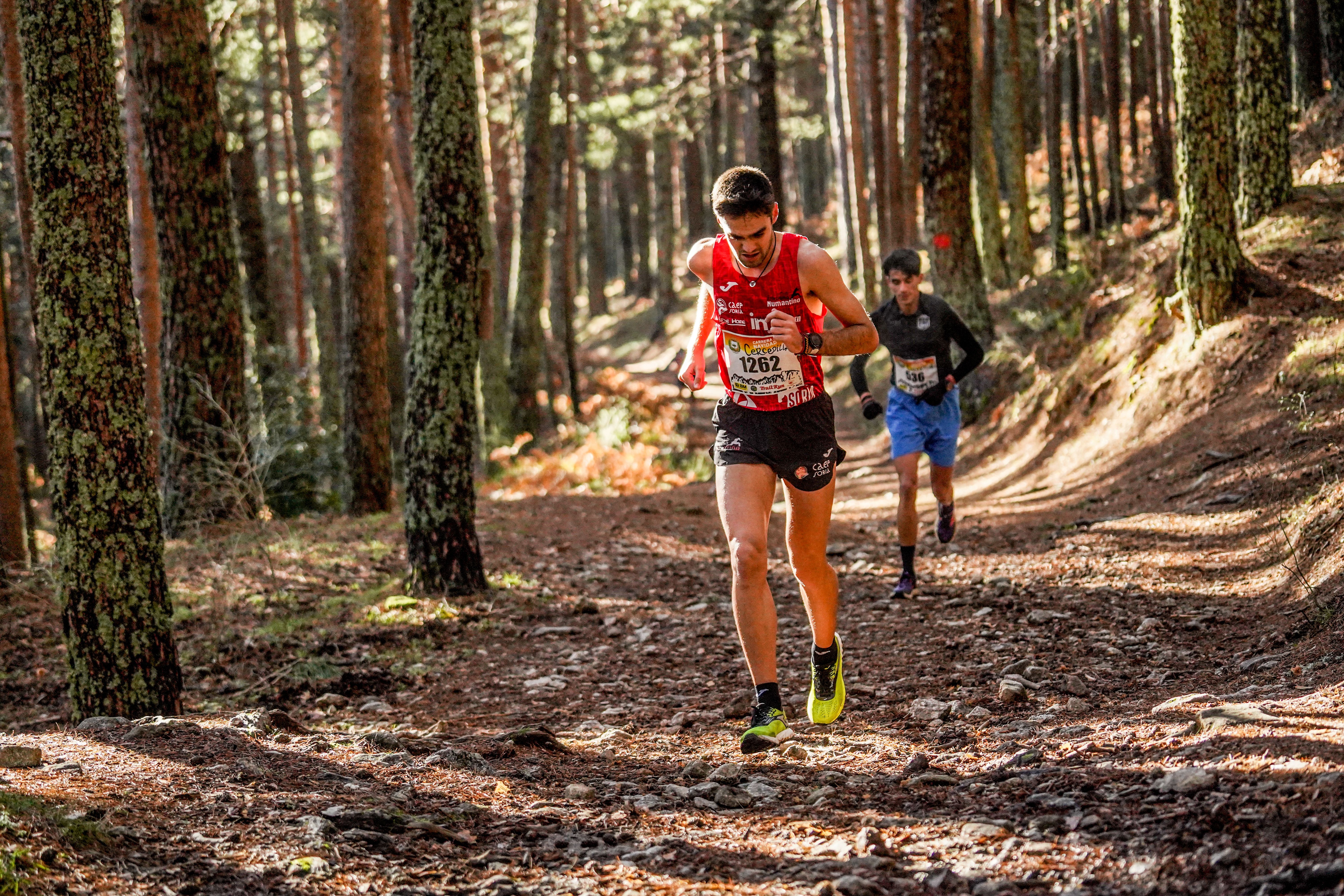 Carrera de Navidad de Cercedilla 2022