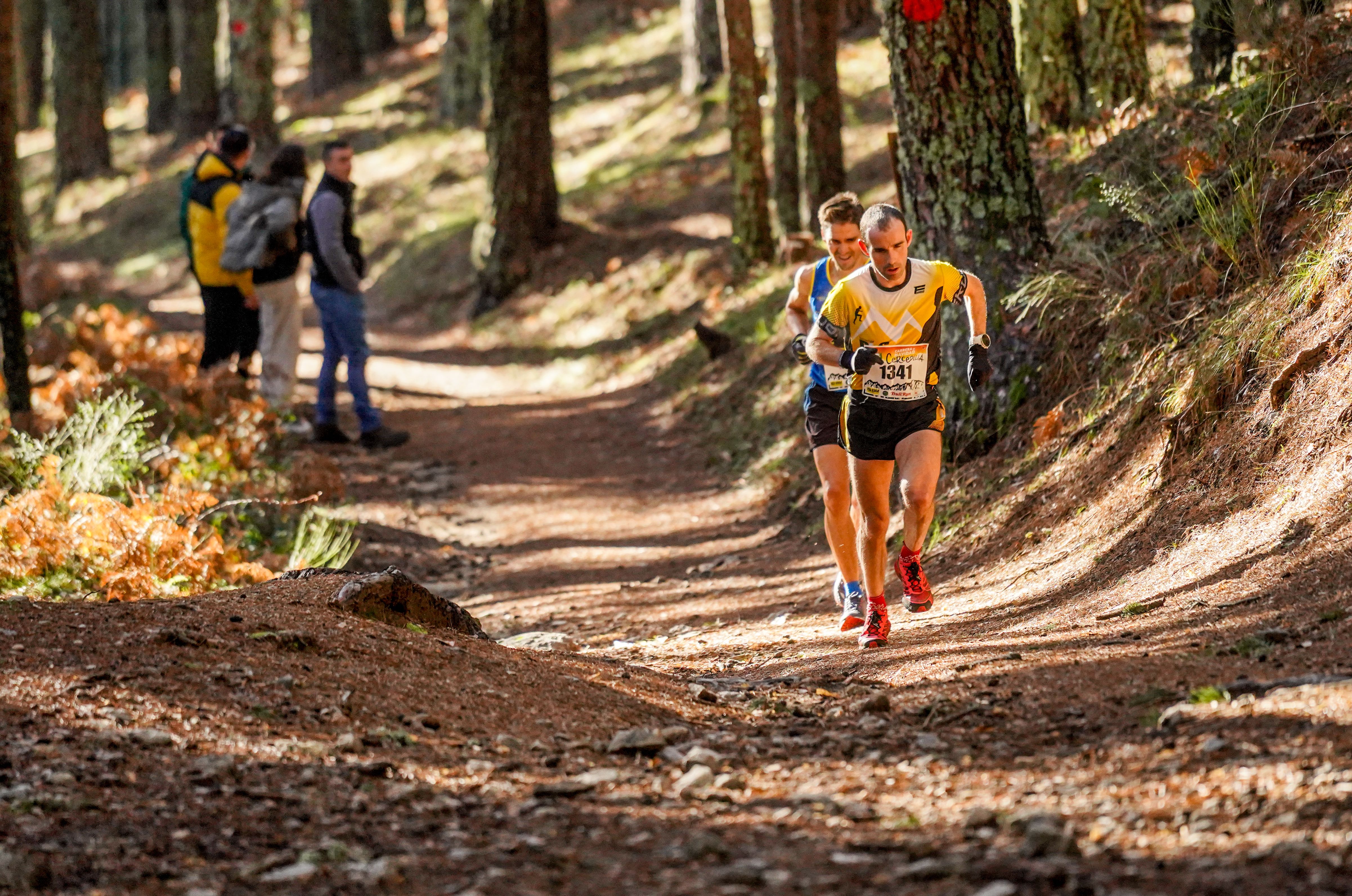 Carrera de Navidad de Cercedilla 2022