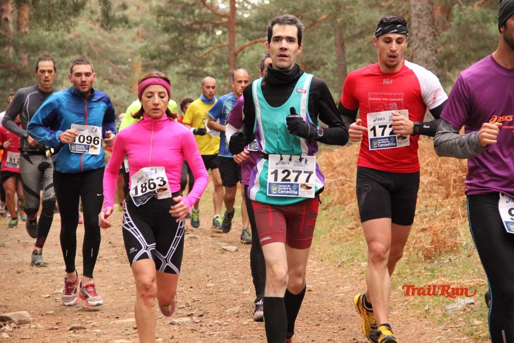 Carrera Cercedilla 2015-01