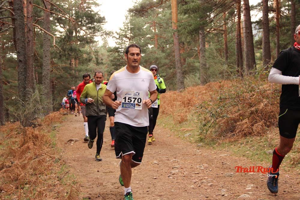 Carrera Cercedilla 2015-01