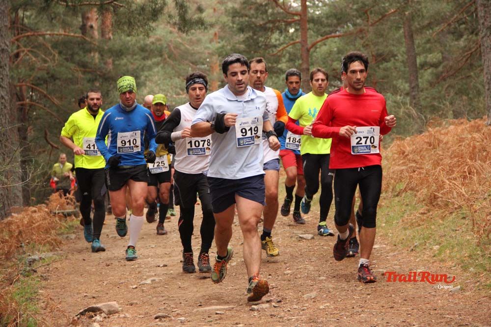 Carrera Cercedilla 2015-01