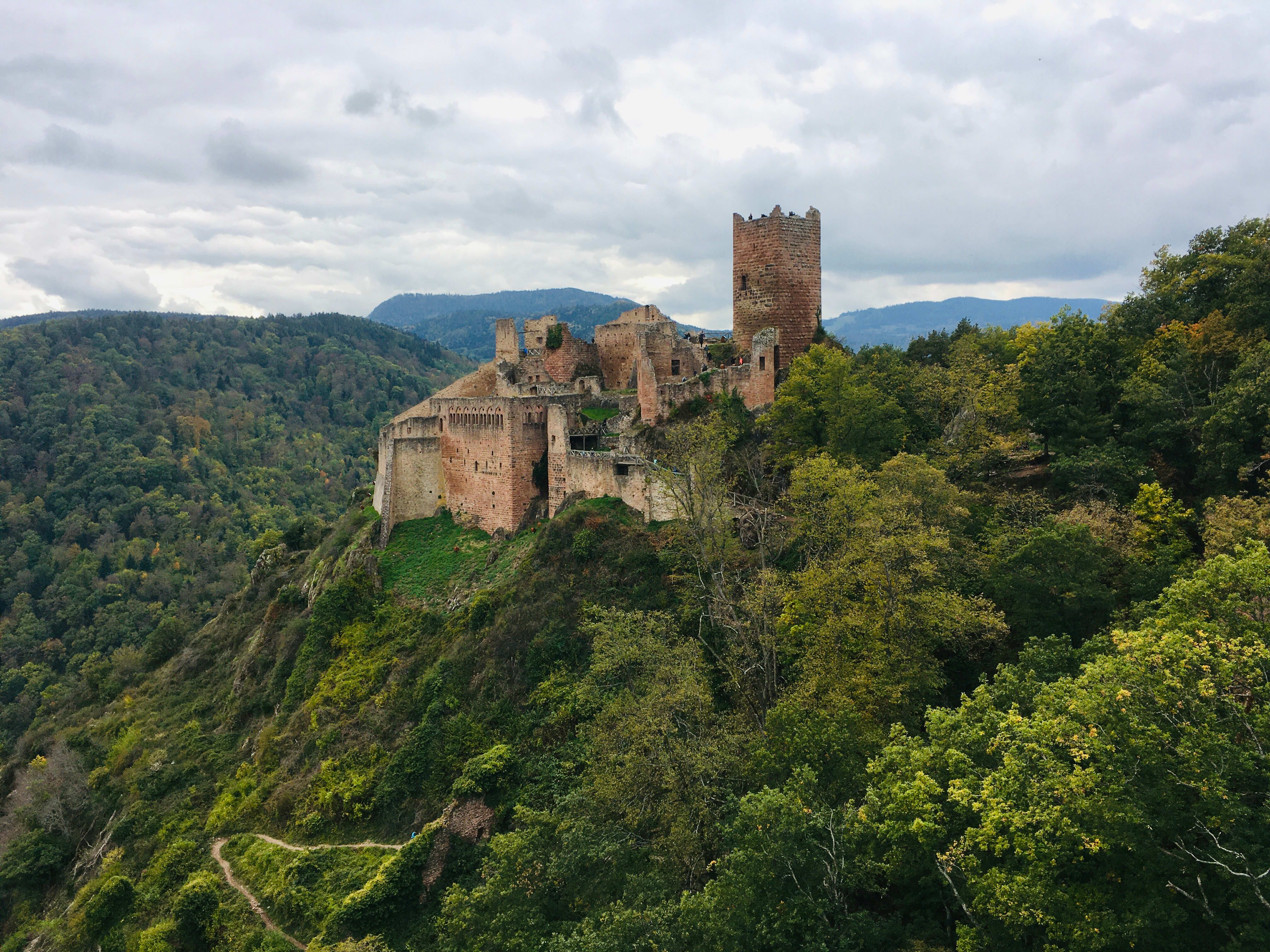 Naturaleza y tradición en el primer Trail Alsace Grand Est by UTMB®