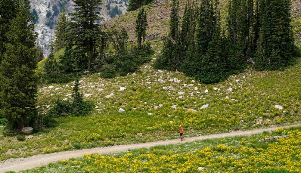 Speedgoat2022 Kyle Rivas Getty 95 e0791b4e0c Speedgoat2022 Kyle Rivas Getty 95 e0791b4e0c