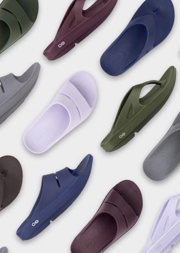 274656187 5090705837659709 1587965289585835787 n