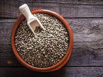 Semillas de cáñamo, fuente de proteína vegetal Semillas de cáñamo, fuente de proteína vegetal