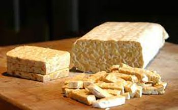 Tempeh orgánico, fuente de proteína vegetal Tempeh orgánico, fuente de proteína vegetal