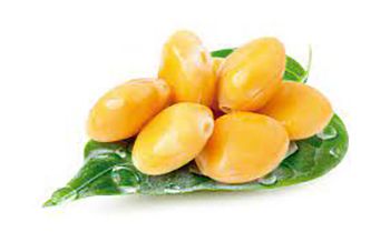Altramuces, fuente de proteína vegetal Altramuces, fuente de proteína vegetal