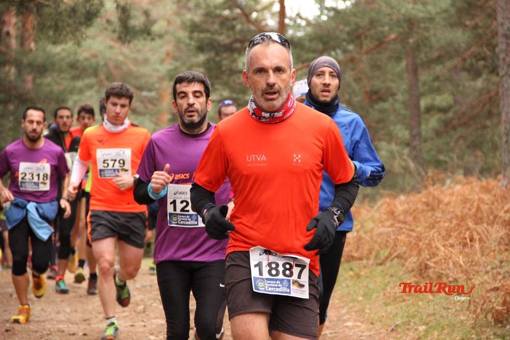 Carrera Cercedilla 2015-01