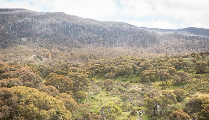 Ultra Trail Kosciuszko by UTMB