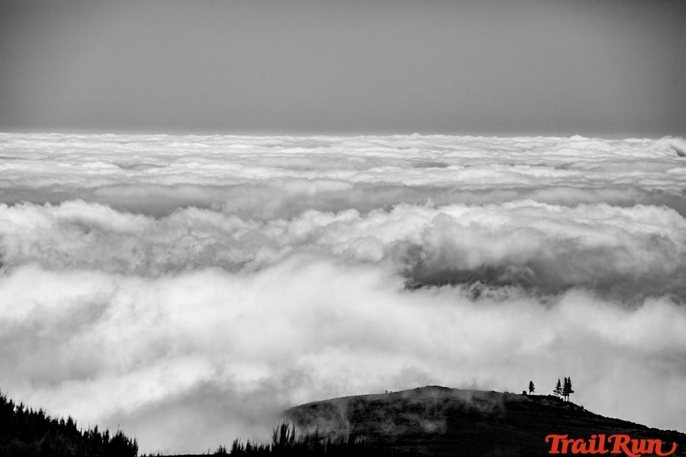 Ultra Trail MIUT de Madeira 09