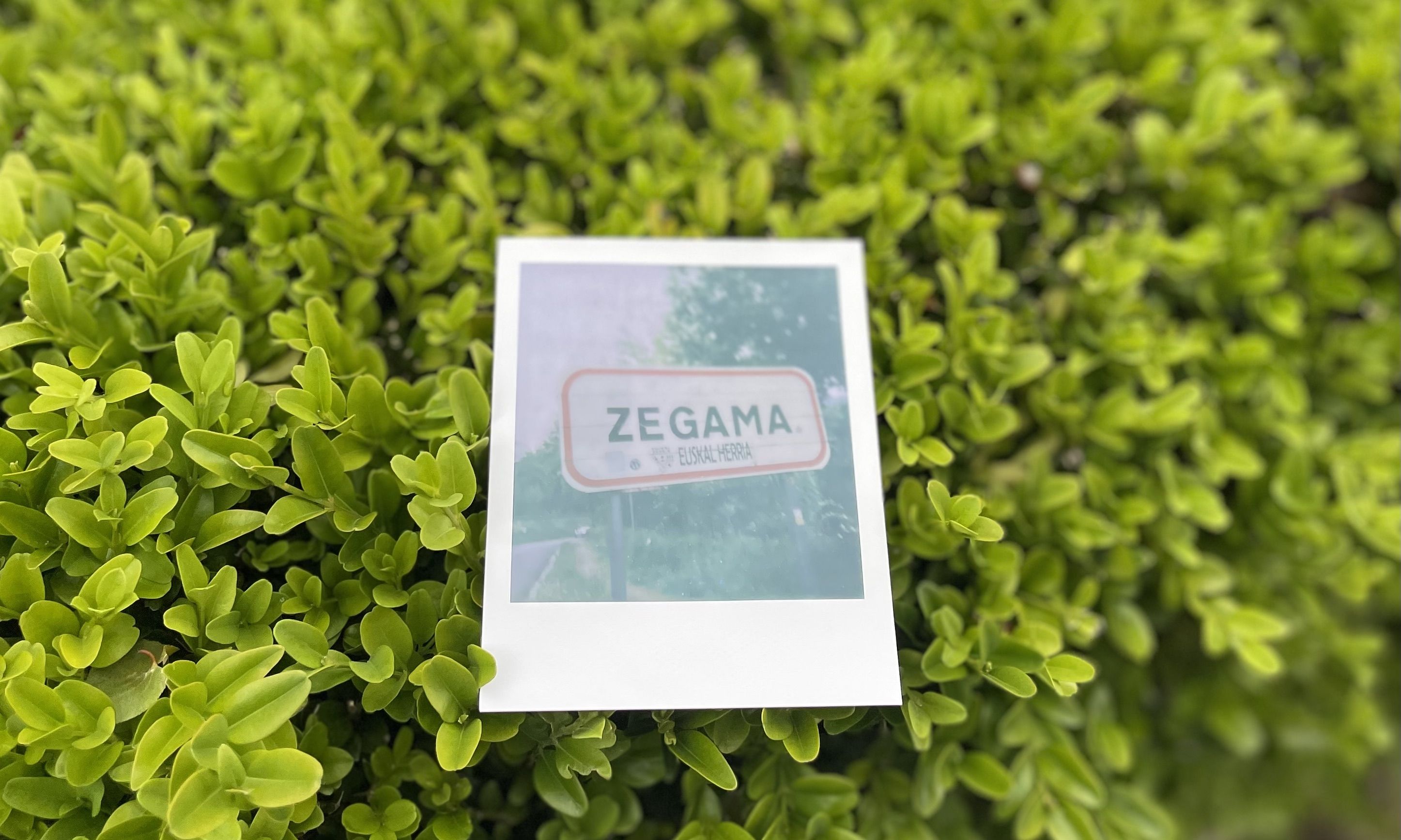 La metamofosis de Zegama ©Raúl Mihai