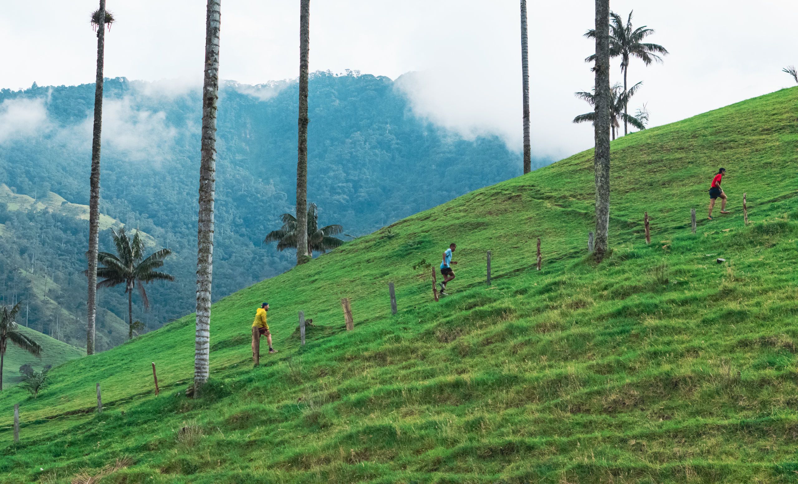 Quindío Trail Colombia by UTMB® ©UTMB
