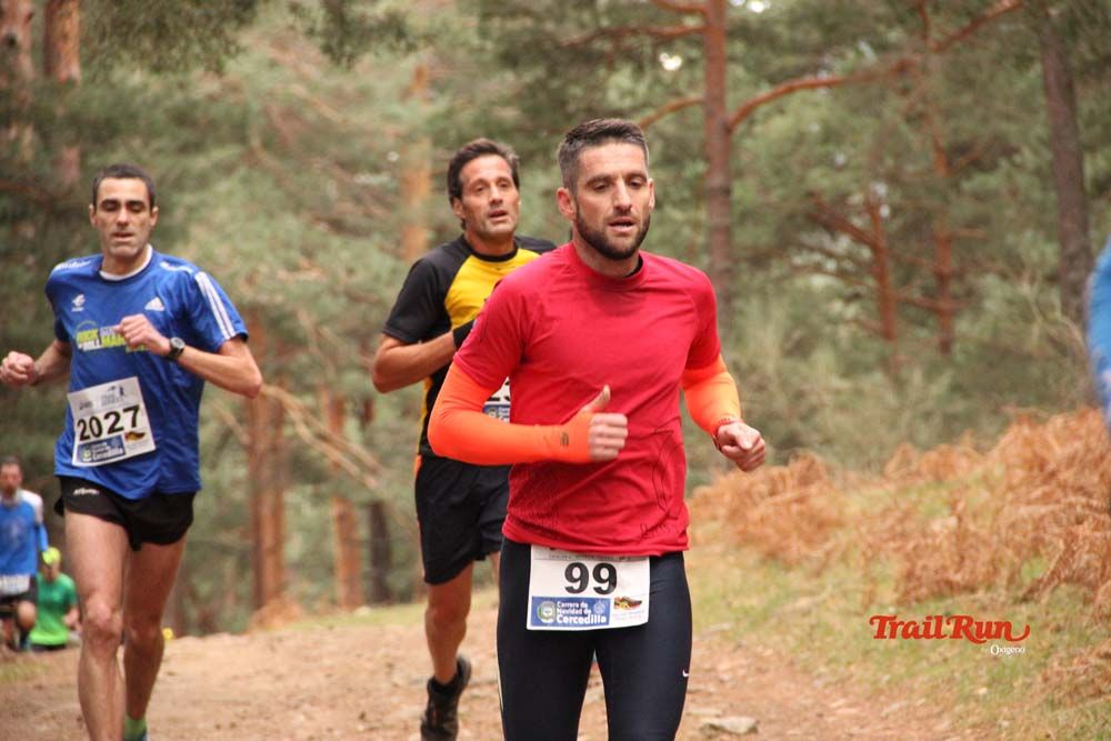 Carrera Cercedilla 2015-01
