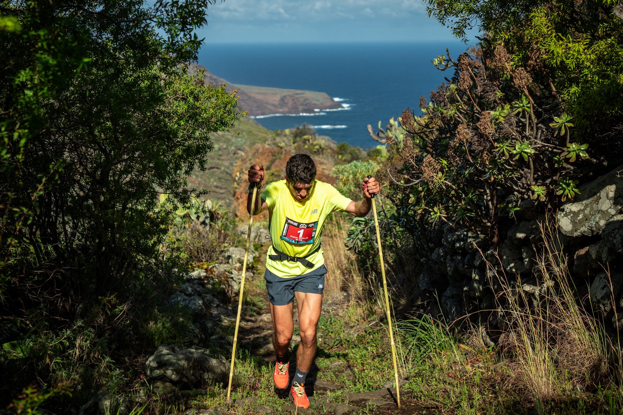 Acantilados 2024 ©FITTERS LA PALMA
