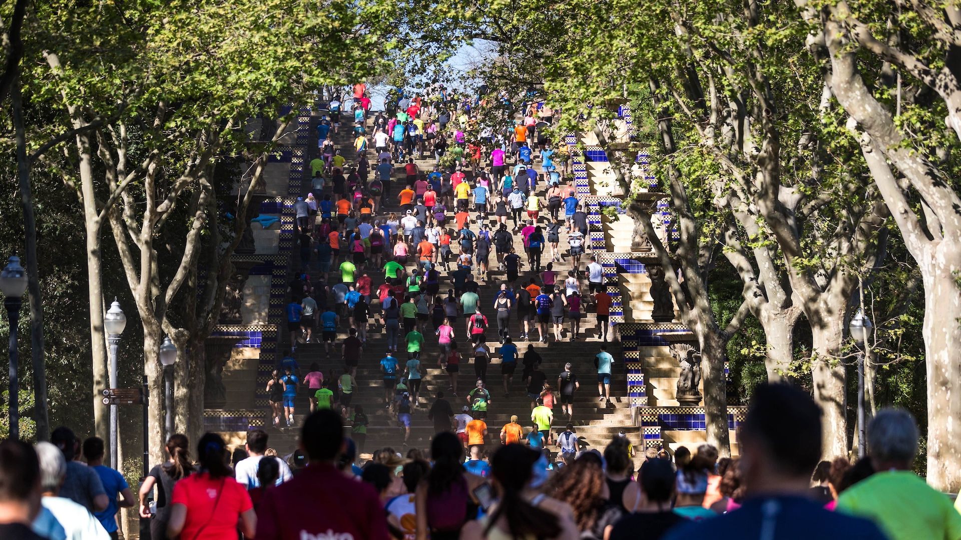 Salomon Run Barcelona 2025 
