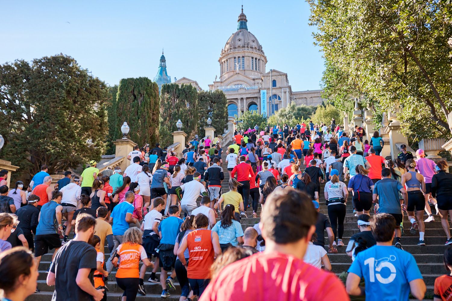 Salomon Run
