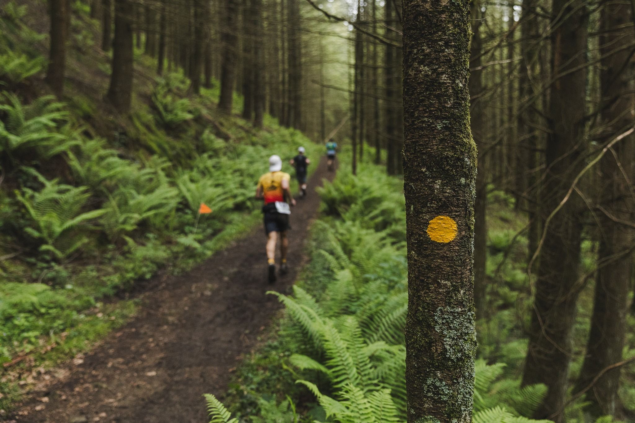 Zegama-Aizkorri fue en 2024 la ruta de trail running más popular de España ©️@igor_quijano