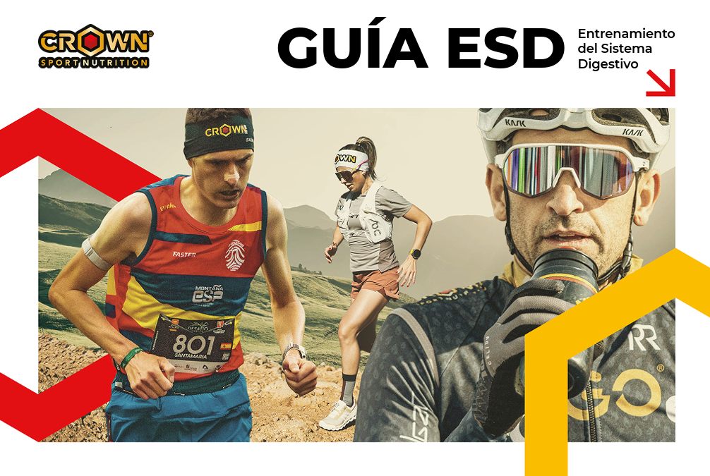 Entrenamiento del Sistema Digestivo para deportistas de resistencia.