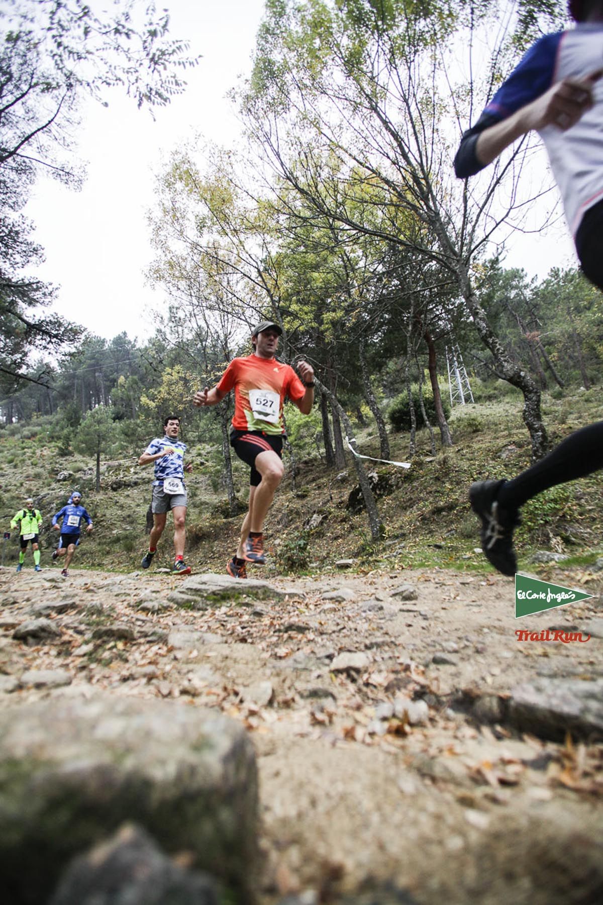 Races Trail Running-1