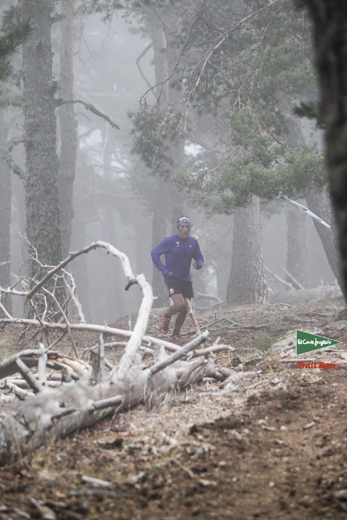Races Trail Running-1