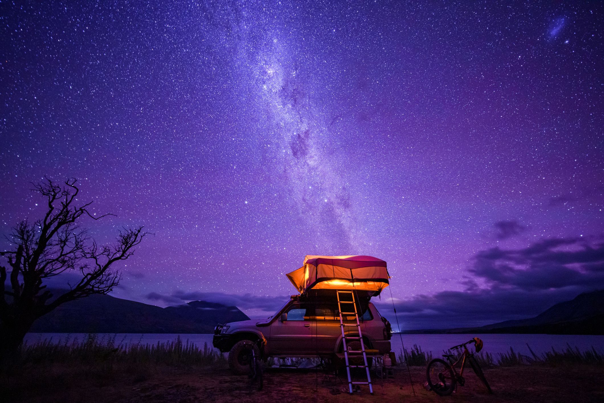 istock 1460389800 istock 1460389800
